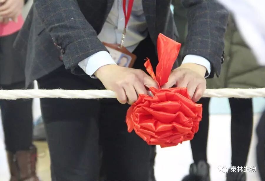 1768961554244515sI35.jpg 2.jpg